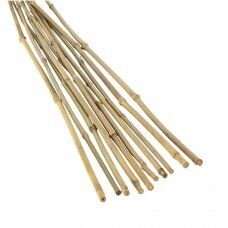 Bambukas 45 cm (8-10 mm) 500 vnt.
