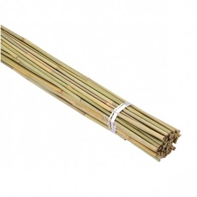 Bambukas 1,50 m (10-12 mm) 250 vnt. Bambukas 1,50 m (10-12 mm) 250 vnt.