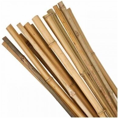 Bamboo 0.9 m (ø 10-12 mm) 250 pcs. Bamboo 0.9 m (ø 10-12 mm) 250 pcs.