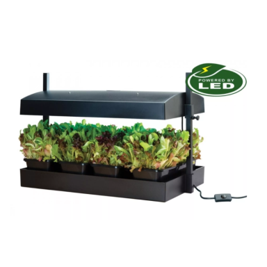 Daigykla Micro Grow Light Garden 16W Juoda