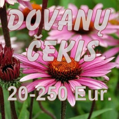 Dovanų čekis