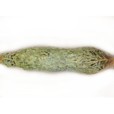 Kalėdinių medelių pakavimo maišai, 40 cm, 1000 m