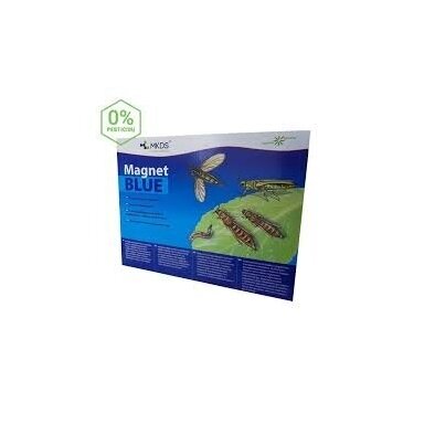 Magnet Blue-tripsų,daiginių uodelių gaudyklė 20*25