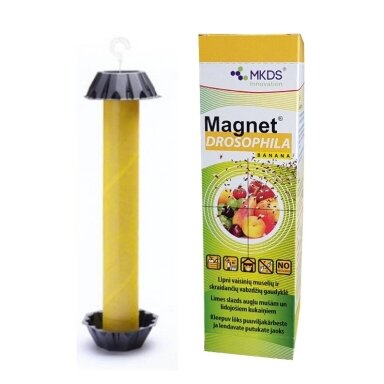 MAGNET Drosophila fruit fly trap, 1 pc