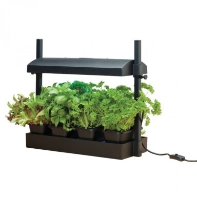 Micro Grow Light Garden daigykla 11 W juoda