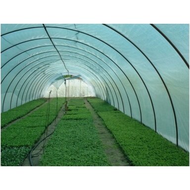 Pavėsinimo tinklas JUTA 1,56x100