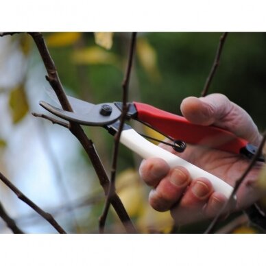 Secateurs 101 OKATSUNE (S) 1 Secateurs 101 OKATSUNE (S) 1