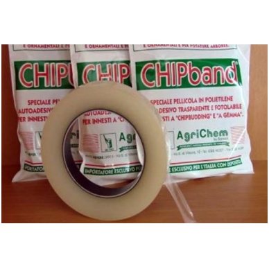 Skiepijimo juostelė CHIPBAND akiavimui 1 Skiepijimo juostelė CHIPBAND akiavimui 1