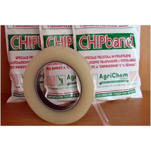 Skiepijimo juostelė CHIPBAND akiavimui 1 Skiepijimo juostelė CHIPBAND akiavimui 1