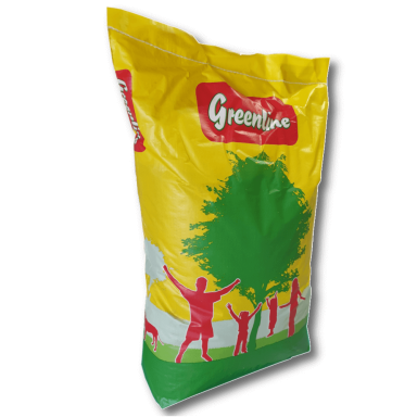 Vejos žolės mišinys pavėsiui Schattenrasen 10 kg / 300 m2 Greenline